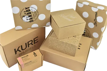 Γρήγορη παράδοση Κουτιά στην Zwijnaarde BE